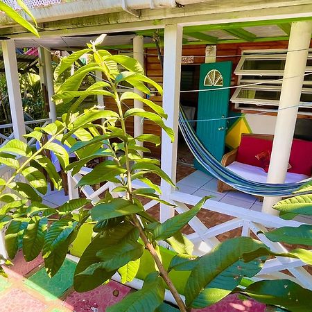 Le Petit Paradis Roseau Exteriér fotografie