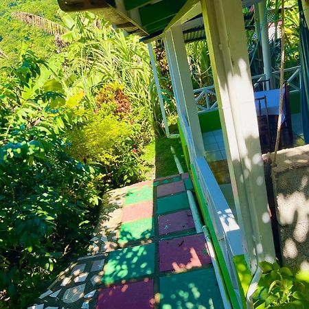 Le Petit Paradis Roseau Exteriér fotografie
