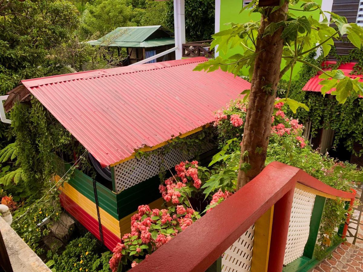 Le Petit Paradis Roseau Exteriér fotografie