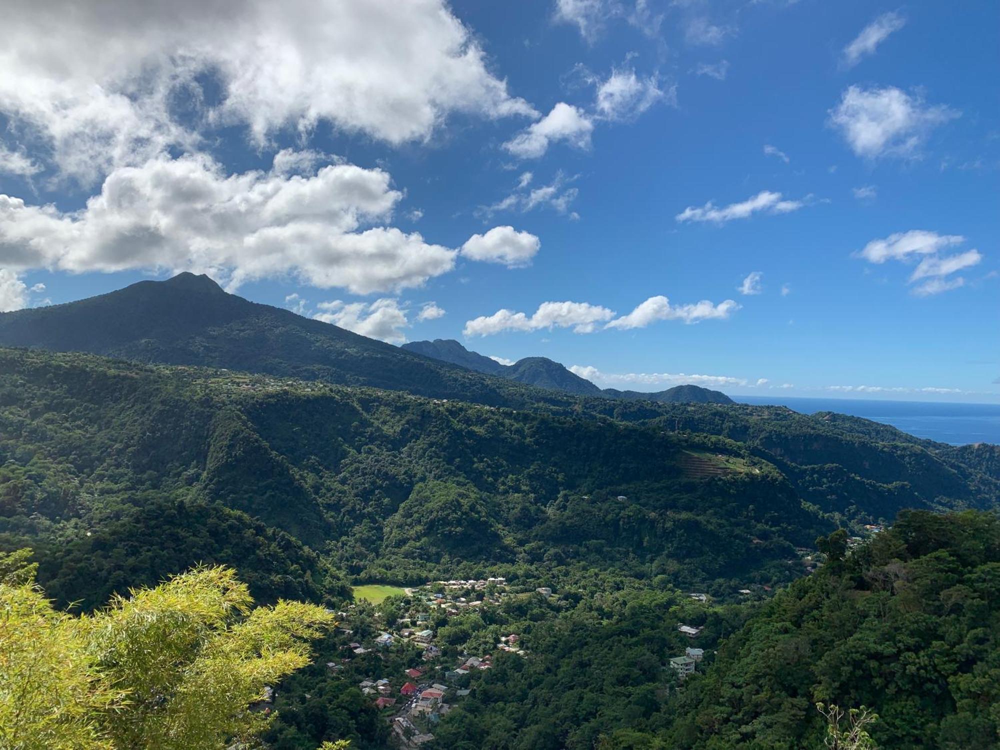 Le Petit Paradis Roseau Exteriér fotografie