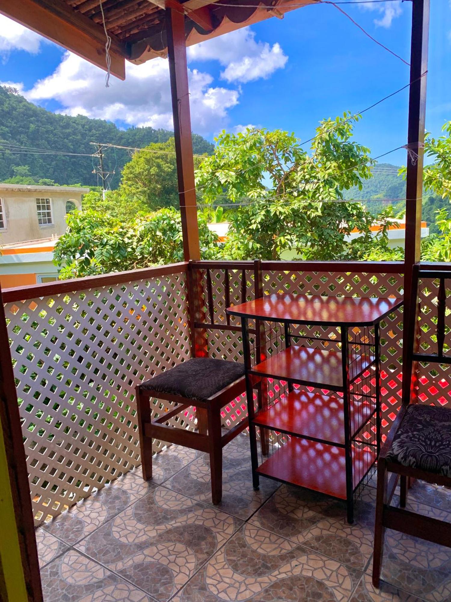 Le Petit Paradis Roseau Exteriér fotografie