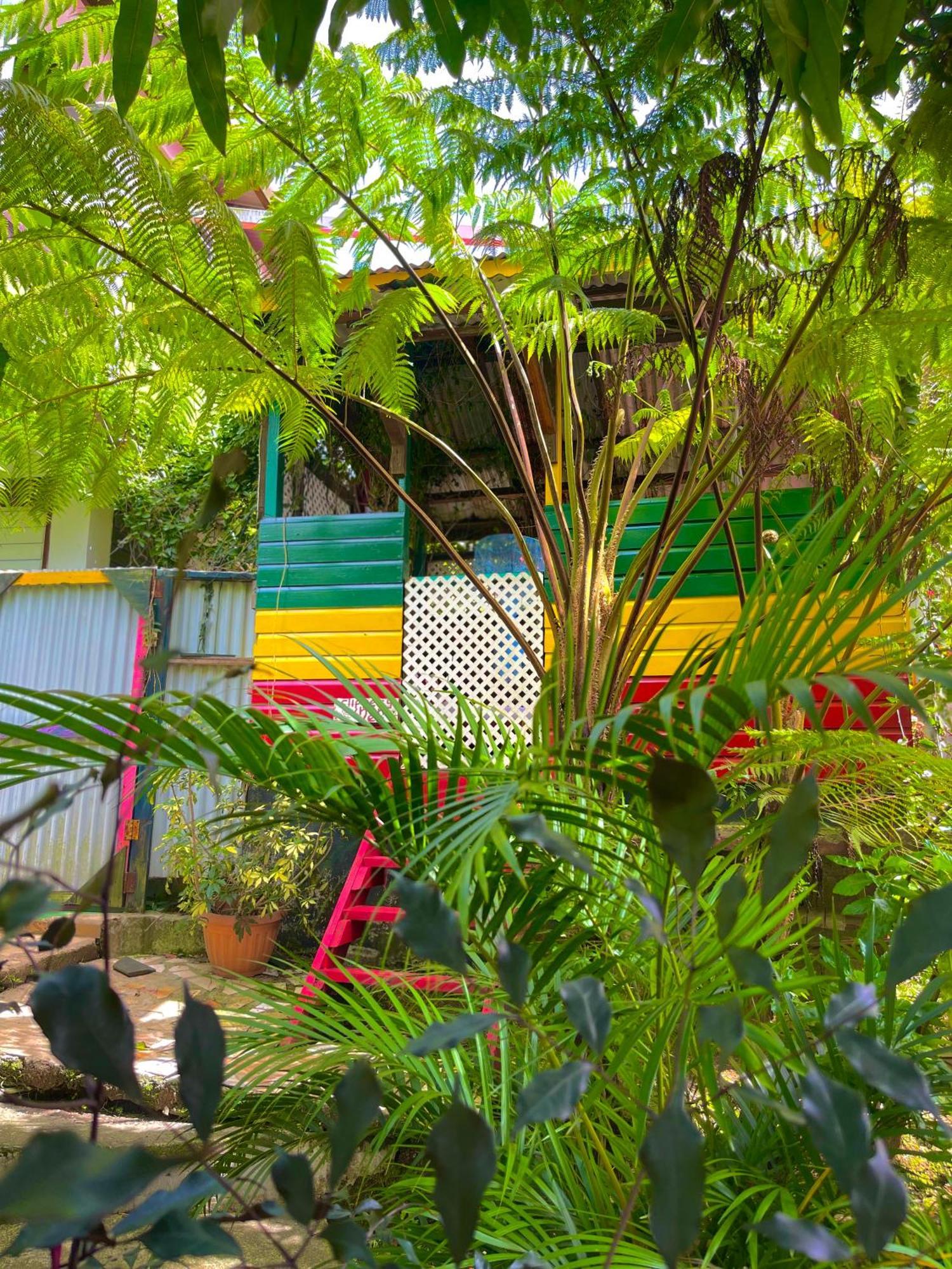 Le Petit Paradis Roseau Exteriér fotografie