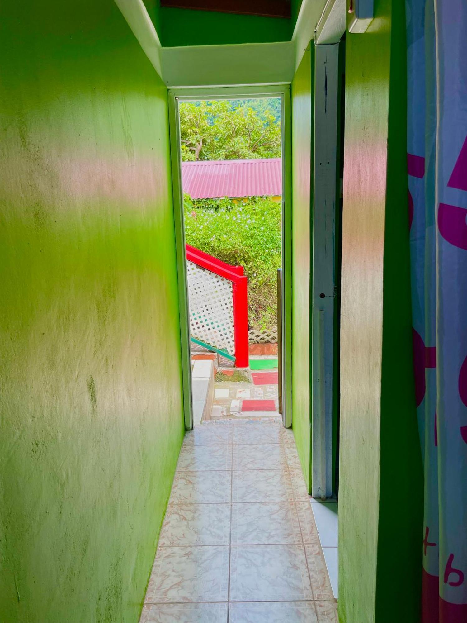 Le Petit Paradis Roseau Exteriér fotografie