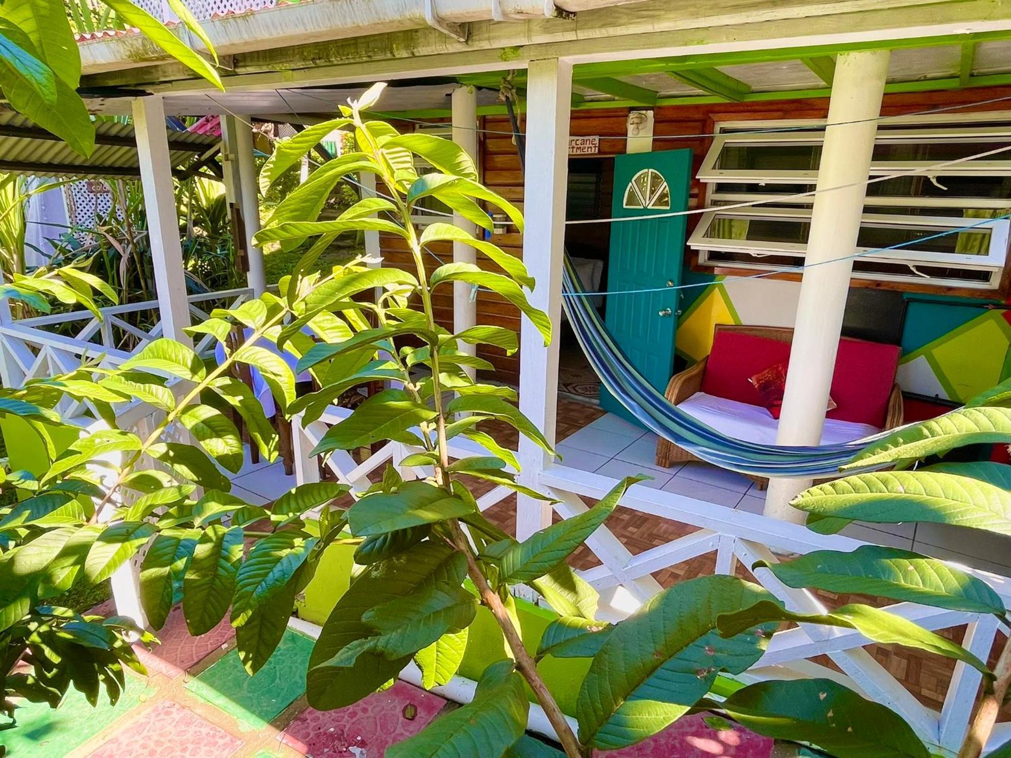 Le Petit Paradis Roseau Exteriér fotografie