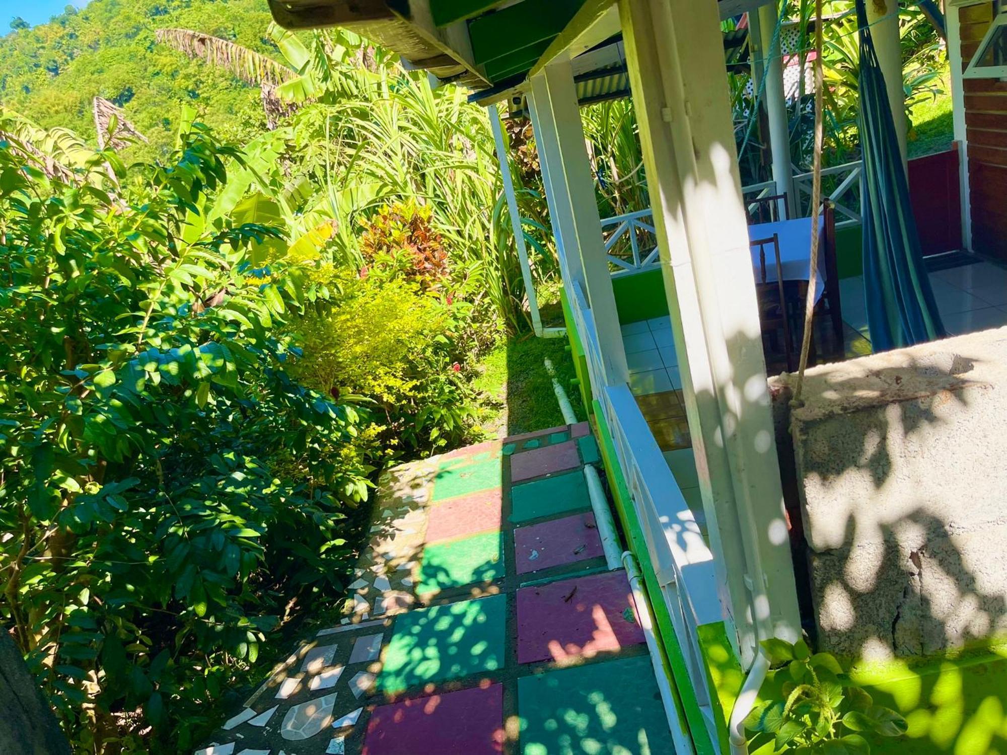 Le Petit Paradis Roseau Exteriér fotografie