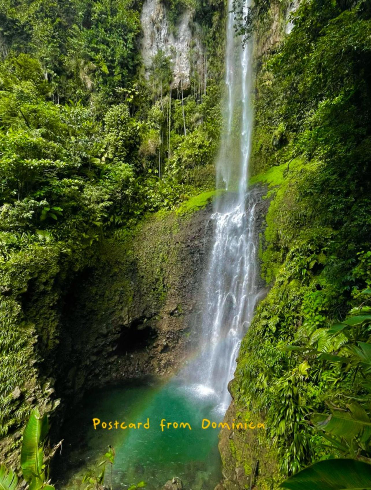 Le Petit Paradis Roseau Exteriér fotografie